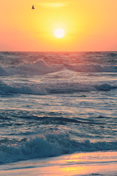 highenoughtoseethesea: Sebastian Inlet Sunrise