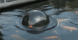 zoomine:A floating dome to let fish take a look outside the pond.