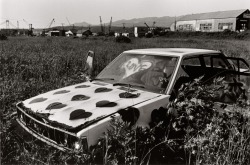 unseenpowerofthepicketfence:  Hokkaido, 1994,