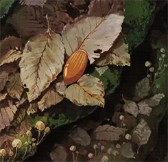 aprettyfire:Down the rabbit hole
