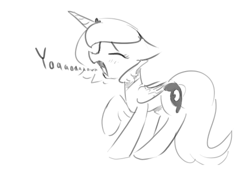lunadoodle:Nap time for looney  <3