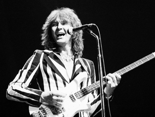 sickfink2: Chris Squire’s backgammon fit onstage.1st pic: By Michael Putland at Madison Square