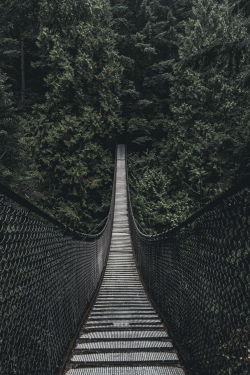 jrxdn:  Adventure | © | Instagram