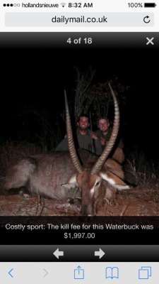 bitterbitchclubpresident: sugarndgahwa:  donald trump’s sons kill (endangered) animals for fun. 🐸☕️  can y'all make this go viral or  this is the only way to get whites to be offended and something happen 