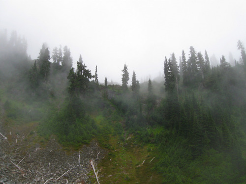 Into the Clouds by John Sluder