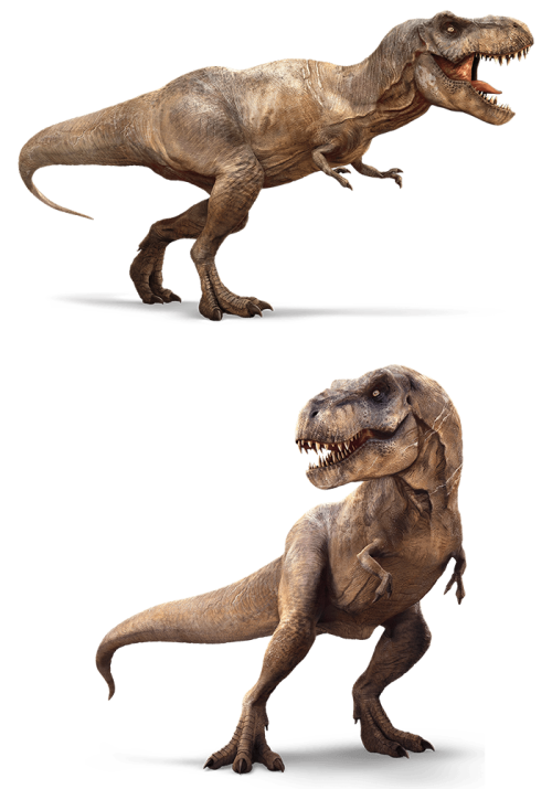 iheartjurassicpark:Look who was found on JurassicWorld.comMomma T-rex from the first film!? See th