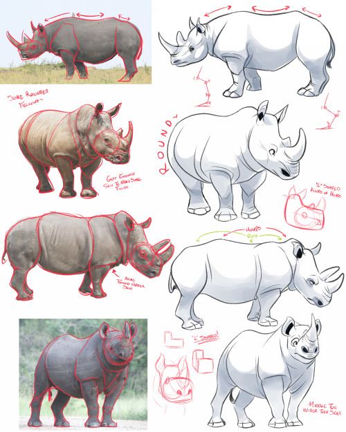 tjdrawsstuff:So I spent a few days learning how to draw rhinos…