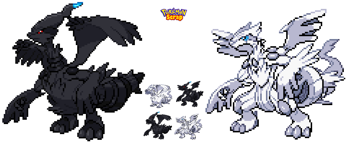 Olig on X: Shiny Zekrom after only 554 RAs in White✨   / X