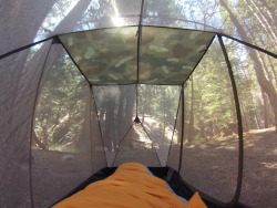 minnesotanwildflower:  viewfromthetent: 