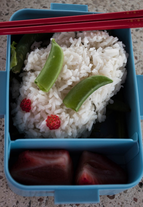 This week’s assignment was food! I tried to make a snow bunny bento box, but the bunny couldn’t hold