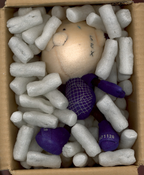 docpile:scan of 20471120 mascot “Hyoma” in box with packing peanuts