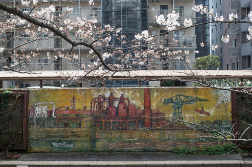 今年の桜６ - 2018年