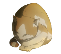 je-suis-thug:  sakamaki-kanato:  A transparent shingeki no kitty for your blog  The chillest creature ever 