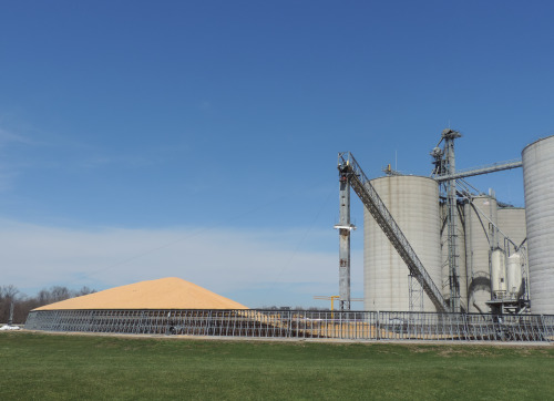 Grain Elevators Near Effingham, Illinois, 2014.