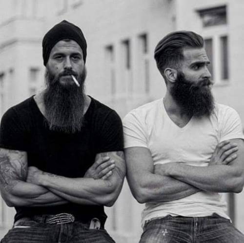 Beard Necessities