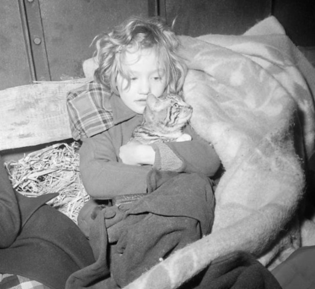 Black and white photo of a blonde, white, somewhat disheveled little girl holding a shorthaired tabby cat highly in her arms. She seem to be inside a boat as there are riveted metal walls behind her, and she's sitting on a makeshift bed of blankets and hay. The cat seems surprisingly calm, the girl looks like she is very tired and perhaps in shock but not actively distressed.