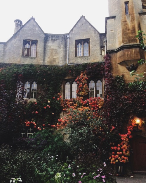days-of-reading:some of my pictures from the past few weeks | oxford university, UKi. merton college