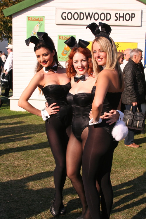 Hot bunny girls in black pantyhose and sexy leotard. Woman in pantyhose