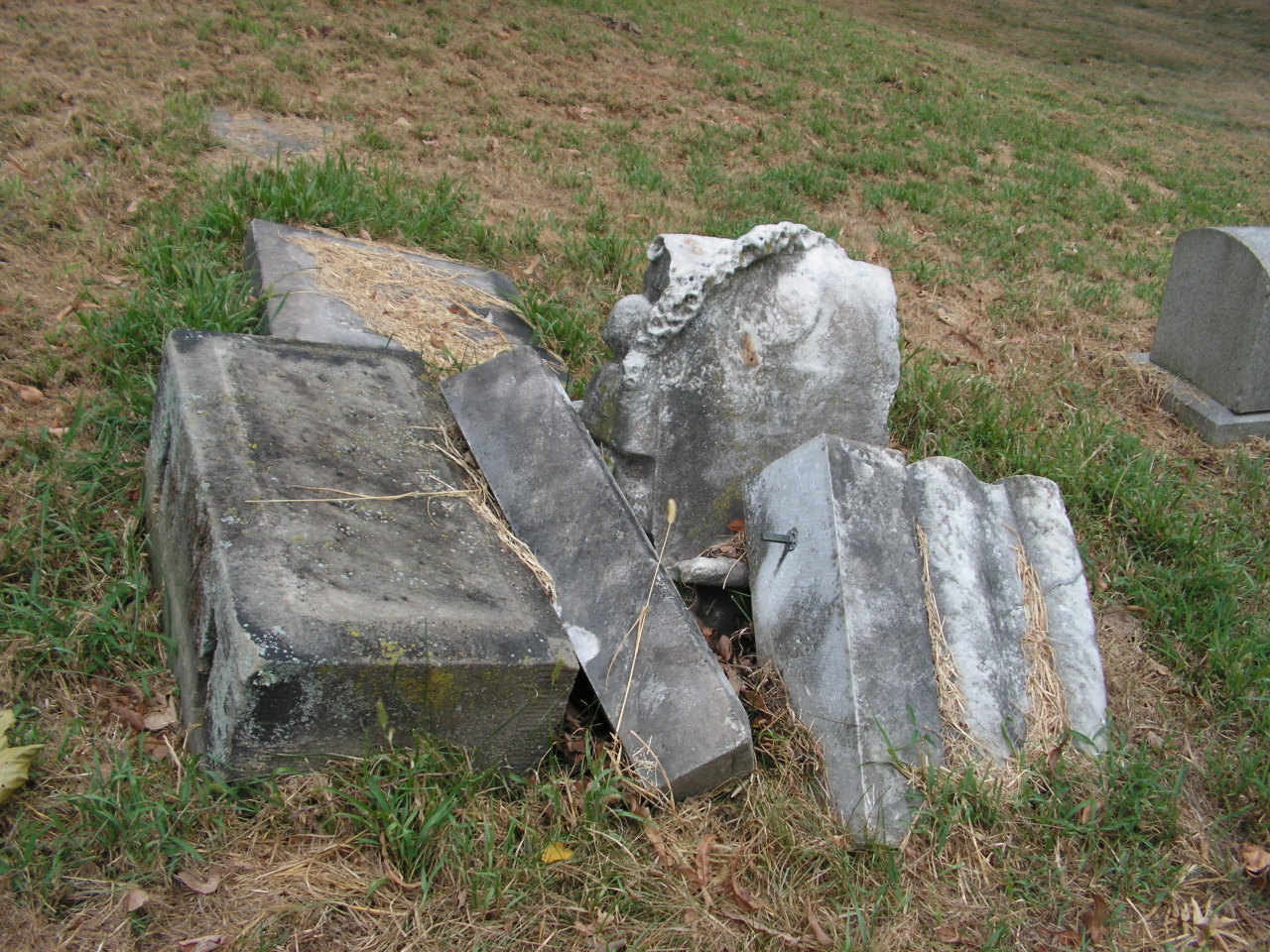 grrg63heavenonearth:  Allegheny Cemetery 82515-76 