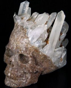 fuckyeahpaganism:    QUARTZ ROCK CRYSTAL Carved Skull  