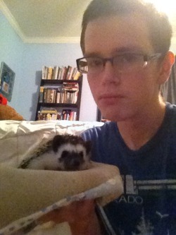 themaskednegro:  seriousjones:  babysitting this fucking asshole  how did that hedgehog learn how to type 