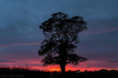 Greasby sunset by Paul-Farrell on Flickr.