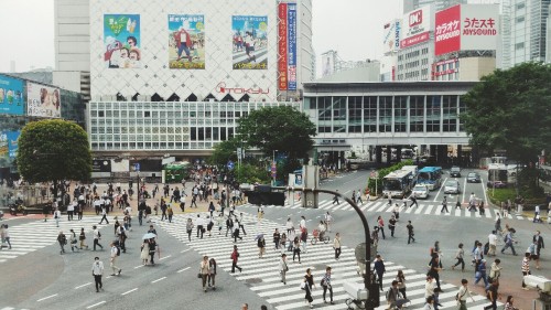 渋谷区