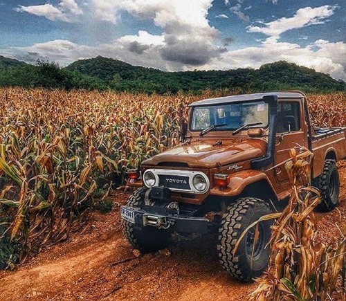 bobgalloway55: rebelnurse1986: Toyota FJ45, my idea of a classic.  @elegantstrings  