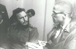 nerdscloset:  Fidel Castro and Malcolm X meeting in Harlem, 1960