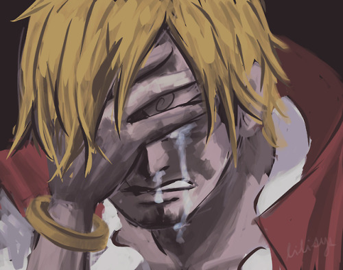 I watched a few eps of One Piece as a kid and remember liking Sanji a lot. Well recently I decided t