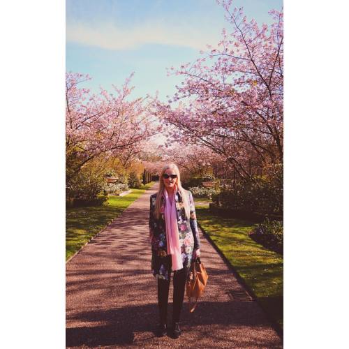 ☀️ #cherryblossom #london #regentspark #sunny #spring #pink #cherryblossomlondon #travel #traveling 