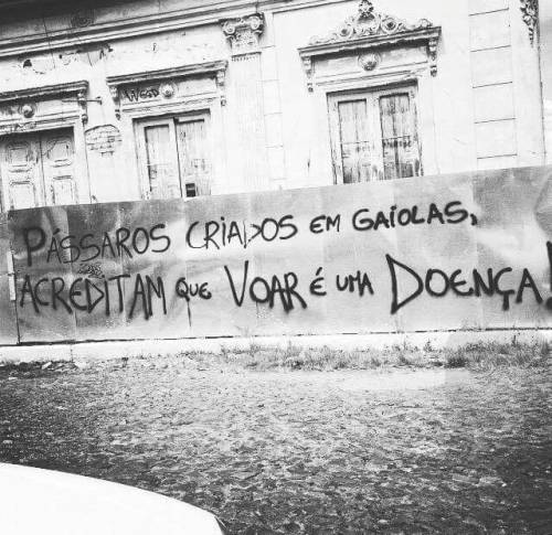 tumblr photo eugravis 0