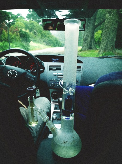 indic4:youagainst-theworld:BongzzzzBONG RIDES