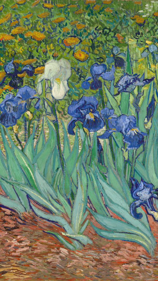 VAN GOGH //