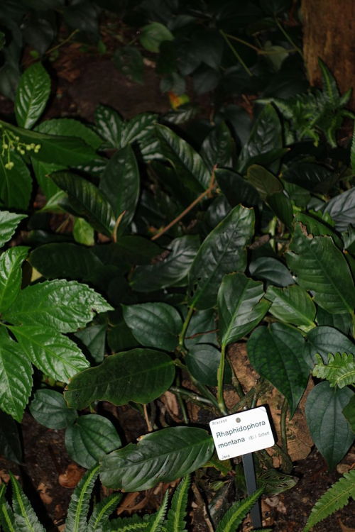 taxonomy-blog
