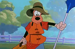 stormborntargaryen:  Fangirl Challenge 6/15 Movies: A Goofy Movie  One of my favorite