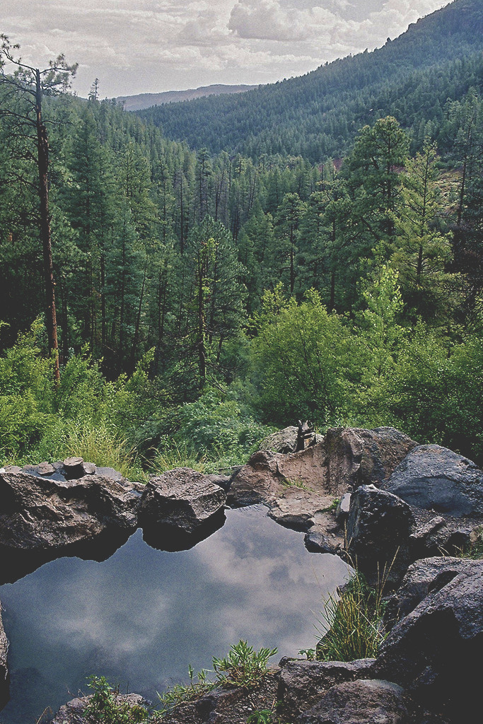 vhord:  strictly nature