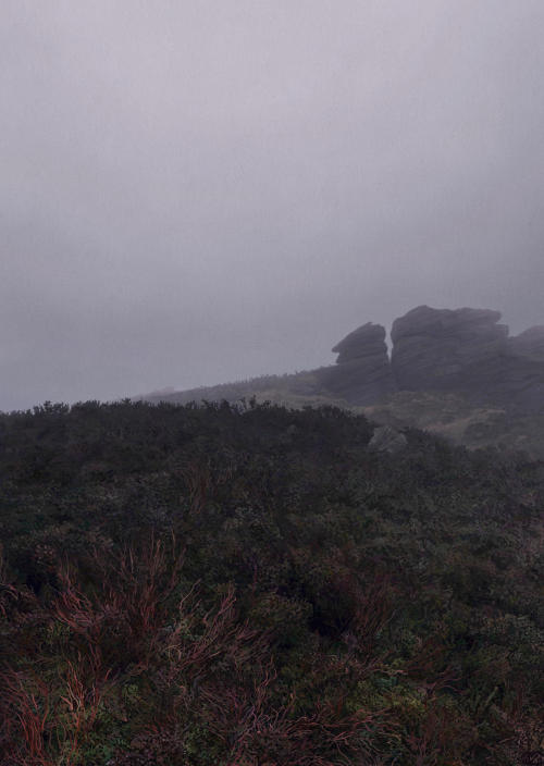 georgeouthwaite: Midwinter in Heather The Roaches December Digital painting