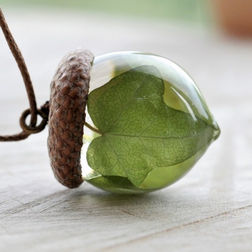 sosuperawesome: Acorn Pendants Dabas Rotas on Etsy See our #Etsy or #Jewelry tags  