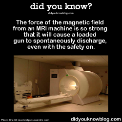 did-you-kno:  The force of the magnetic field from an MRI machine is so strong that it will cause a loaded gun to spontaneously discharge, even with the safety on.  Source