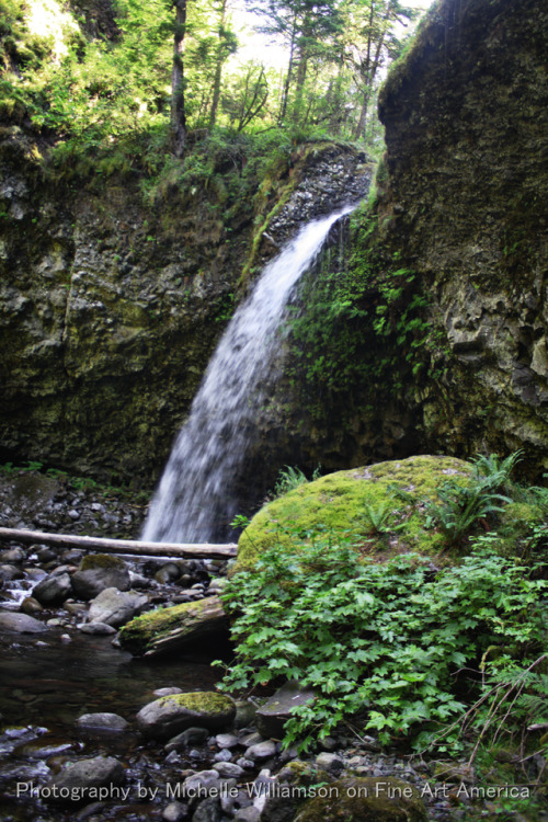 bright-witch:There was a secret waterfall cavern here before the Eagle Creek fire.Prints