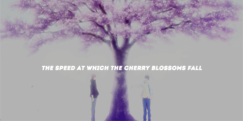 tobioskageyama:At what speed must I live, to be able to see you again?