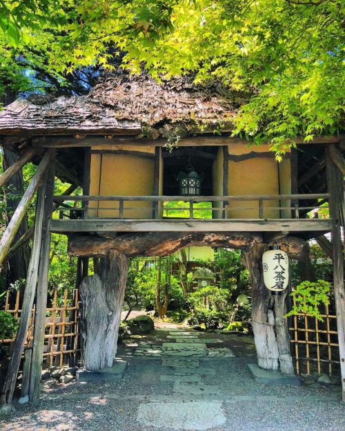 山ばな 平八茶屋 [ 京都市左京区 ] Yamabana Heihachi Chaya Garden, Kyoto の写真・記事を更新しました。 ーー創業・安土桃山時代。頼山陽に岩倉具視、夏目漱石に正