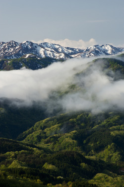 pleoros:  Morning Mountains by Skye Hohmann 