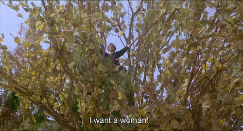 Amarcord (1973)