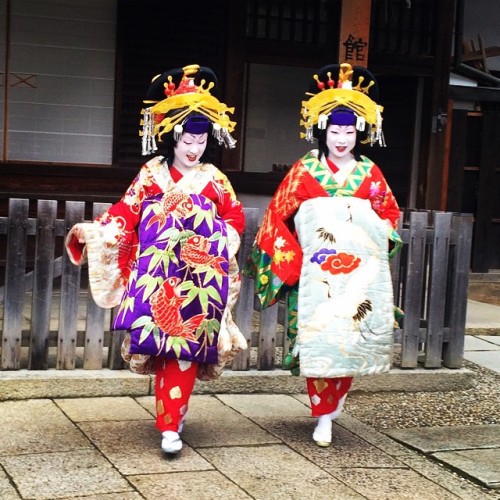 geisha-kai:Setsubun 2015: geiko Yachiho and Kosen of Miyagawacho dressed up as oiran (courtesans) by