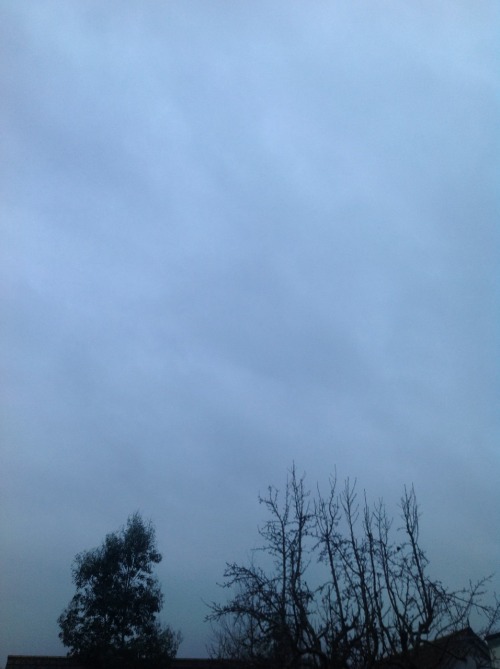 chili-jesson:  3 shades of grey 