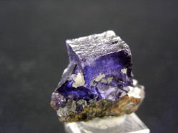 ifuckingloveminerals:  Fluorite  Elmwood, Tennessee, USA 