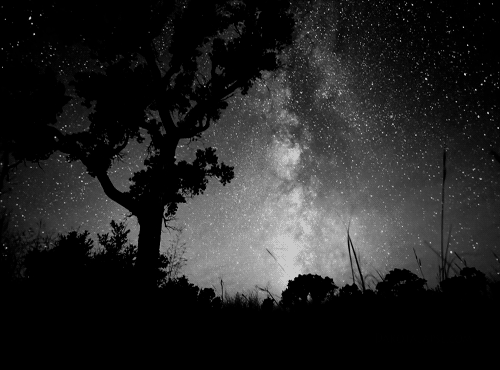 ambientminded:Space Rotation
