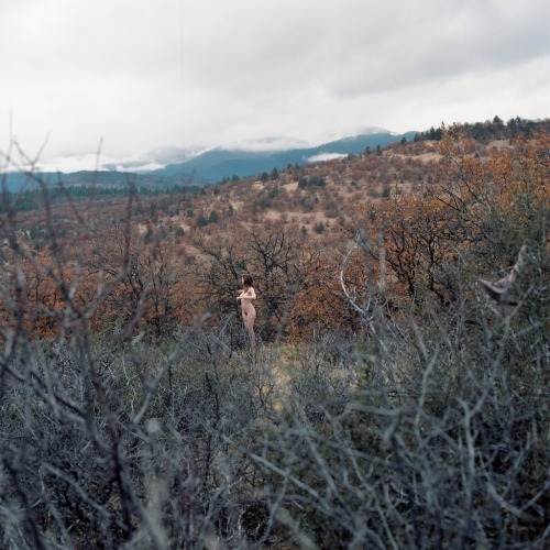 keightdee:  @finchdown at the California-Oregon border. Autumn. Hasselblad 500 cm | 80mm f/2.8 Zeiss